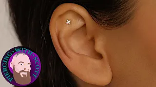 The Whole Truth - Flat Piercing