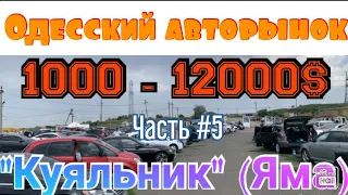 Одесский автобазар «Куяльник» (Яма). Цены на дешёвые авто.