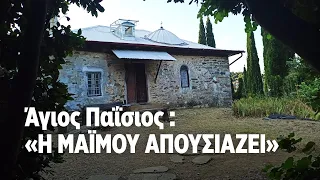 Άγιος Παΐσιος: "Η μαϊμού απουσιάζει"