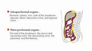 11 Peritonium  Imaging  - Prof.Mamdouh mahfouz (2019 edition)