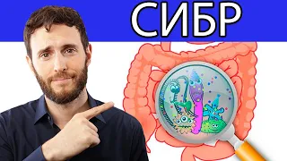 ЧТО РАСТЕТ В ВАШЕМ КИШЕЧНИКЕ? (СИБР)