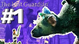 Boy and his Beast - The Last Guardian: Walkthrough Part 1