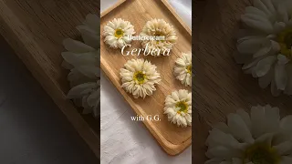 Buttercream Gerbera with GG