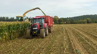 Siláže 2019 | Corn Silage 2019 | Farma Tvarůžka | Krone Big X 500 | Case Puma,Maxxum,JCB