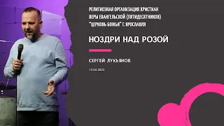 "Ноздри над розой" - Сергей Лукьянов - 13.04.2022