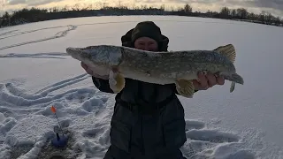 ZEBRUS EZERS-ANNENEIKU UDENS KRĀTUVE