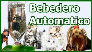 homemade pet sprue with automatic reload system