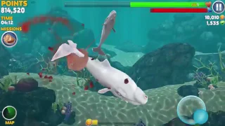 NEW MOBY DICK SHARK WHALE HYBRID IS HERE - Hungry Shark E Ution New Update