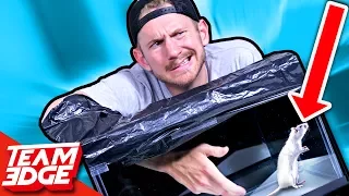 What's In The Box Challenge!!