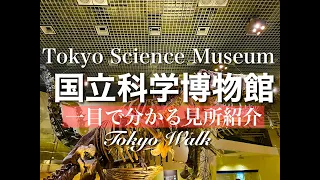 【国立科学博物館】360シアターは迫力のアトラクション！一目でわかる！無料日・お得・カフェ・穴場情報！音声・字幕解説（English OK）/Tokyo Science Museum