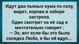 Два Кума в Селе и Корова в Заборе! Сборник Свежих Анекдотов! Юмор!