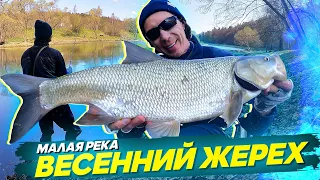 Ловля ЖЕРЕХА. Малая река весной. Рыбалка с #OnlySpin