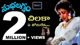 Chilaka Ye Thodu Leka Video Song || Subhalagnam Movie || Jagapathi Babu, Aamani, Roja || TVNXT