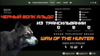 Черный волк Альдо / Way of the Hunter / Трансильвания