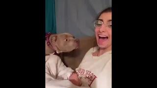 funny animal if u laugh u restart😂😂 subscribe for more ❤️