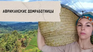 Домработницы. Неотъемлемая часть городской кенийской жизни | Какие зарплаты в Кении