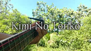 Kimi No Toriko - Summertime | Fingerstyle Guitar Cover