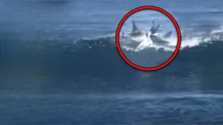 2 Great White Sharks Attacked This Surfer At The SAME Time