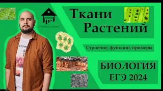 ТКАНИ РАСТЕНИЙ для ЕГЭ 2024 |ЕГЭ БИОЛОГИЯ|Freedom|