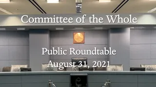 Committee of the Whole STAY DC Roundtable