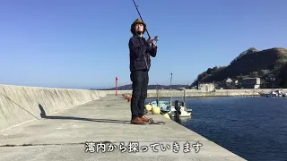 餌代0円のメバル釣り。そしてまさかの大物が…。