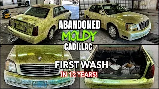 Deep Cleaning The MOLDIEST ABANDONED Cadillac Ever | Insane Disaster Car Detailing Transformation!