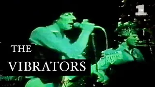 The Vibrators - Judy Says (Knock You in the Head) (Live on Revolver, 1978).