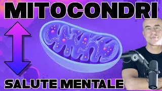 Medicina Mitocondriale e Salute Mentale | Funzionamento dei mitocondri e Disturbi Affettivi