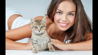 Приколы с котами подборка топовых приколов до слёз 2019№1!funny cats 2019!