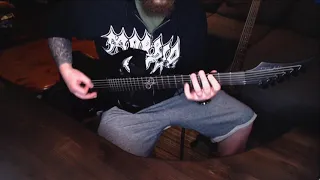 Cannibal Corpse - Devoured By Vermin (guitar cover)