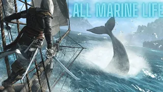 Harpooning Marine Life - Assassin's Creed IV