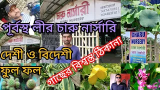 Purbasthali Charu Nursery visit//৭০ বছরের পুরোনো পূর্বস্থলীর চারু নার্সারি পরিক্রমা