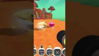 the saddest moment while playing slime rancher 🙃 #shorts