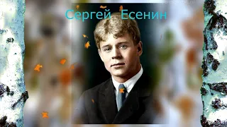 Я по первому снегу бреду... (С.Есенин)