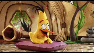The Angry Birds Movie   Official Telugu Teaser Trailer   YouTube