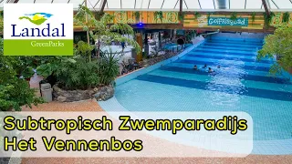 Subtropical Swimming Paradise at Het Vennenbos - Landal GreenParks