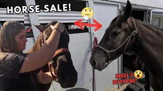 Specialty Missouri TRAIL HORSE SALE! - YOU DON"T WANT TO MISS THIS!