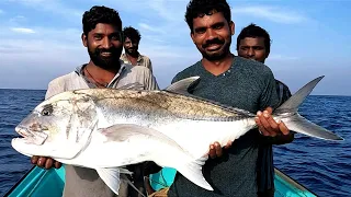 Catching Giant Barracuda Fish, Giant Trevally Fish & Wahoo Fish in the Deep Sea