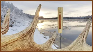 Moose Antler Spike Knife Handle With Birch Bark Inserts