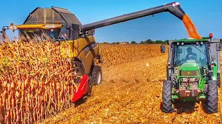 Corn Harvest 2023 New Holland CR + Capello Diamant