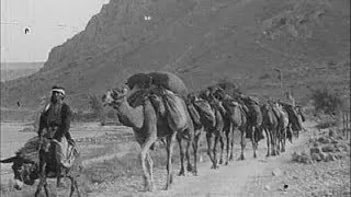 The Valley of the Shechem, 1920s