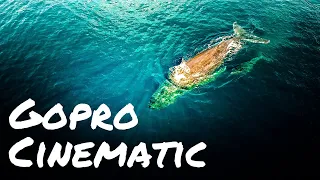 GOPRO HERO 8 BLACK Underwater Cinematic - The Ocean and Its Beautiful Creatures