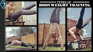 What You need to Know About Bodyweight Training: The Different Types of Calisthenics