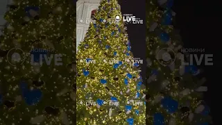 🎄Кличко запалив різдвяну ялинку у Києві