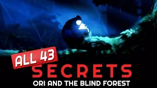 Ori and the Blind Forest - ALL SECRETS Location Guide - No Stone Unturned  Achievement