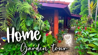 Tropical garden frontyard home | simple design landscape idea