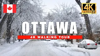 🇨🇦 Ottawa Snow Storm ❄️ Canadian Suburbs Winter Walking Tour | 4K HDR - 60 fps