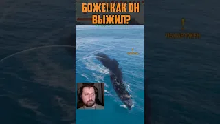 МОМЕНТ ОДИН НА МИЛЛИОН ⚓ МИР КОРАБЛЕЙ