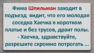 ✡️ Хайка Дала Потрогать Фиме за Шапку! Еврейские Анекдоты! Анекдоты про Евреев! Выпуск #197