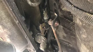 Flexplate change , hand tools , not removing transmission 6.5 Chevy